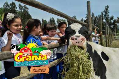 Granja Educativa de Lonquén 2025 - Panoramas con niños